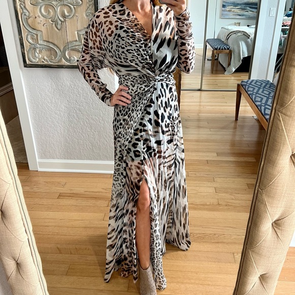 Young Fabulous & Broke Dresses & Skirts - Young Fabulous & Broke Sheer Leopard Print Maci Dress